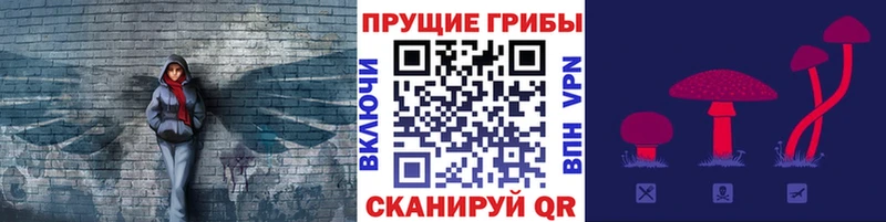 Галлюциногенные грибы мицелий  ОМГ ОМГ ссылки  Сокол 